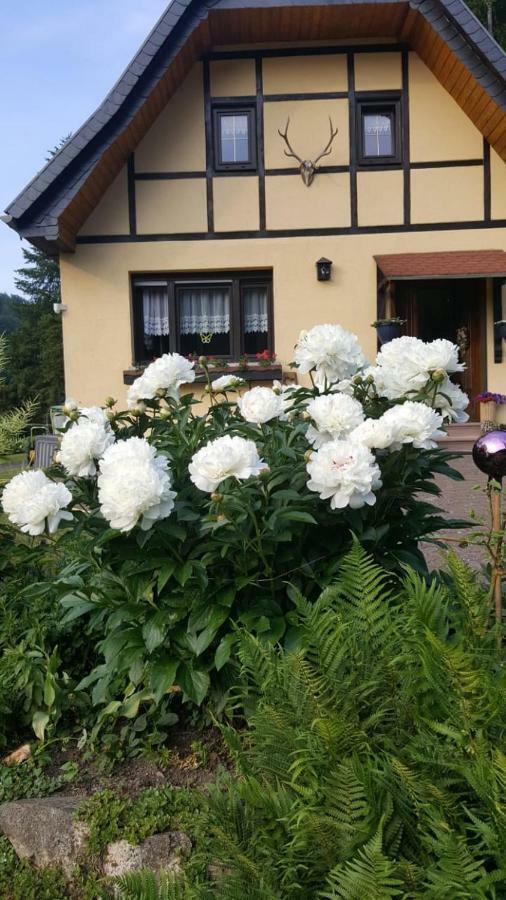 Birkenhain Stolberg i. Harz Dış mekan fotoğraf