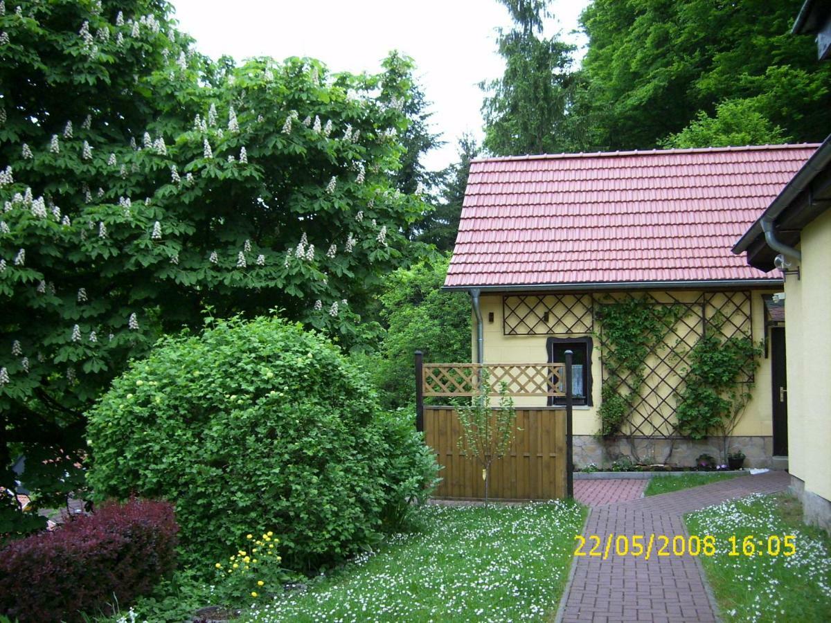 Birkenhain Stolberg i. Harz Dış mekan fotoğraf