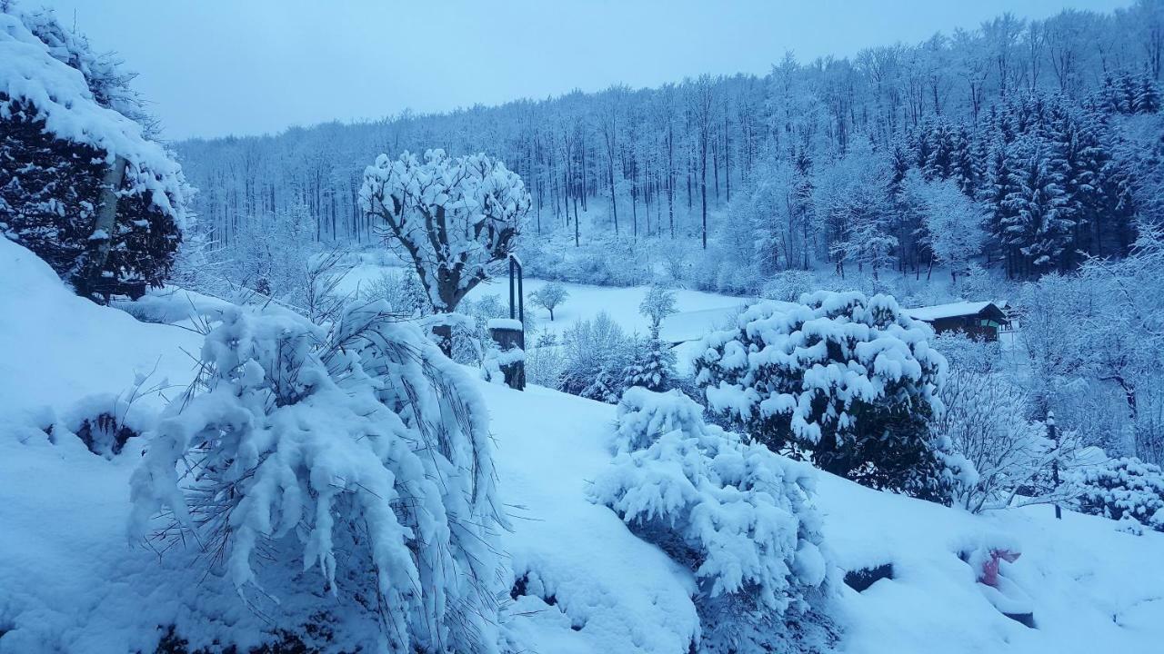 Birkenhain Stolberg i. Harz Dış mekan fotoğraf